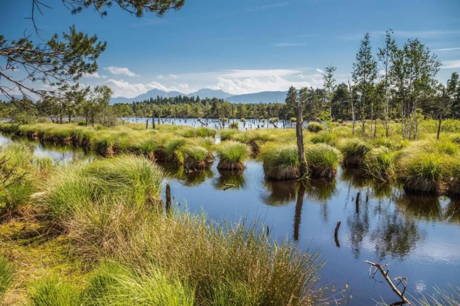 Almhütte-Zones été à 20 km