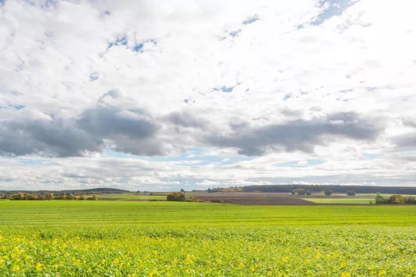 Has'n Res-Areas within 20km in summer