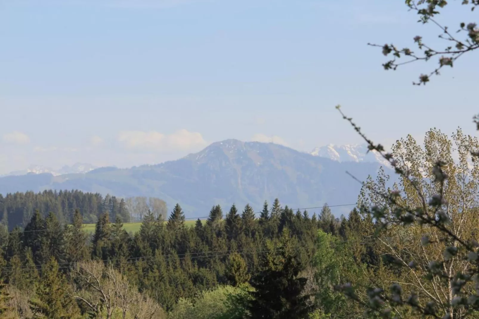Bayerischer Wald-Areas within 5km in summer