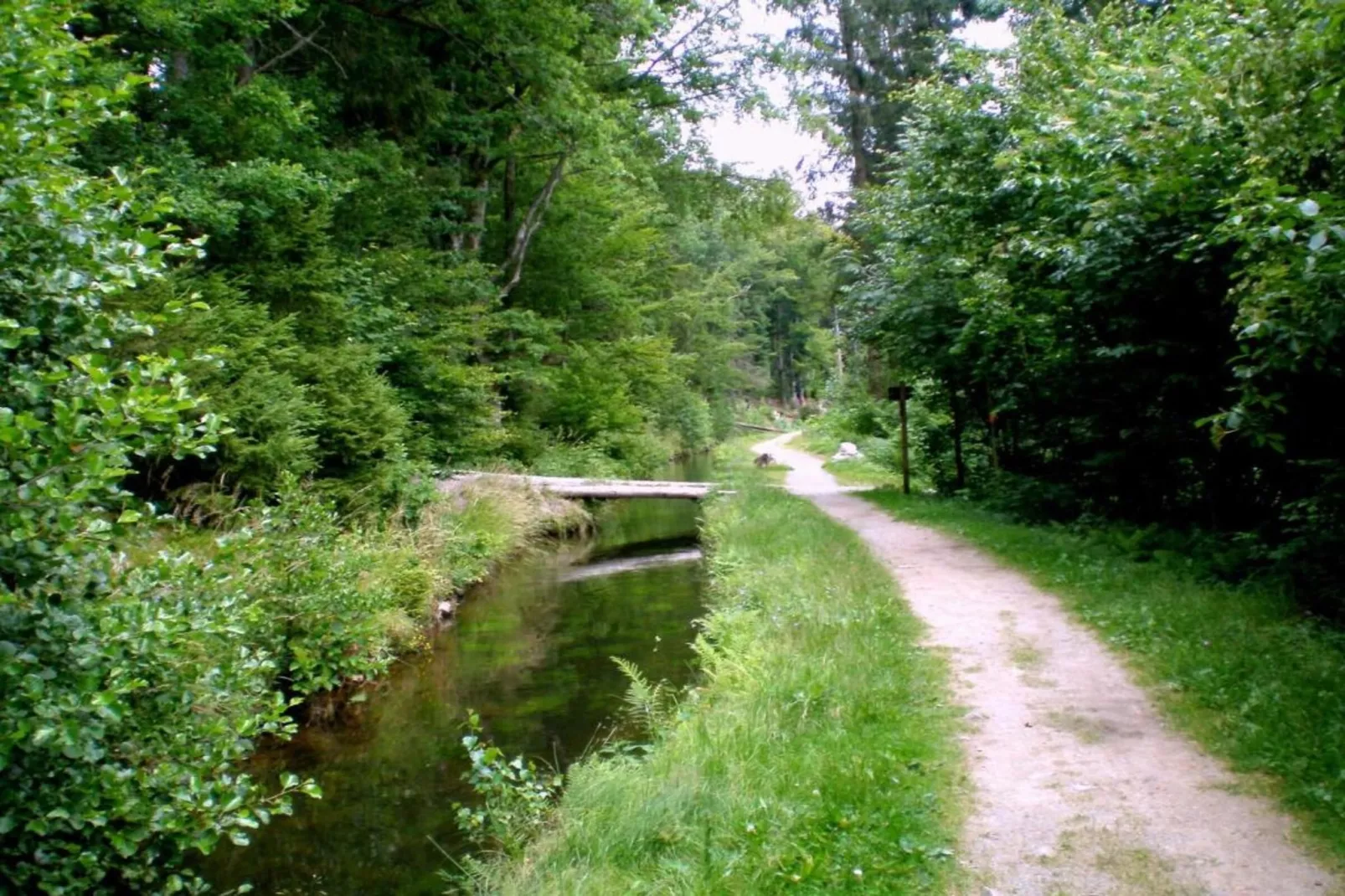 Vakantiepark Jägerwiesen 3-Areas within 20km in summer