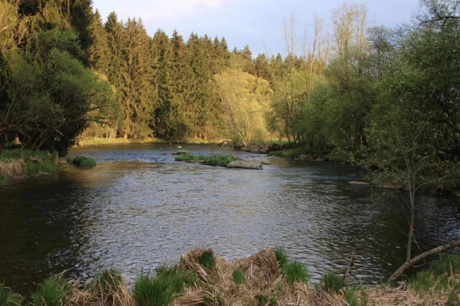 Waldferien-Areas within 20km in summer