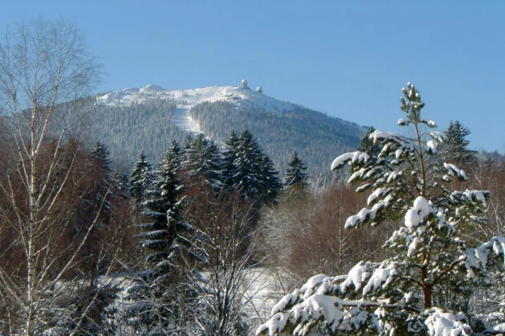 Im Zellertal-Gebiet Winter 20 km