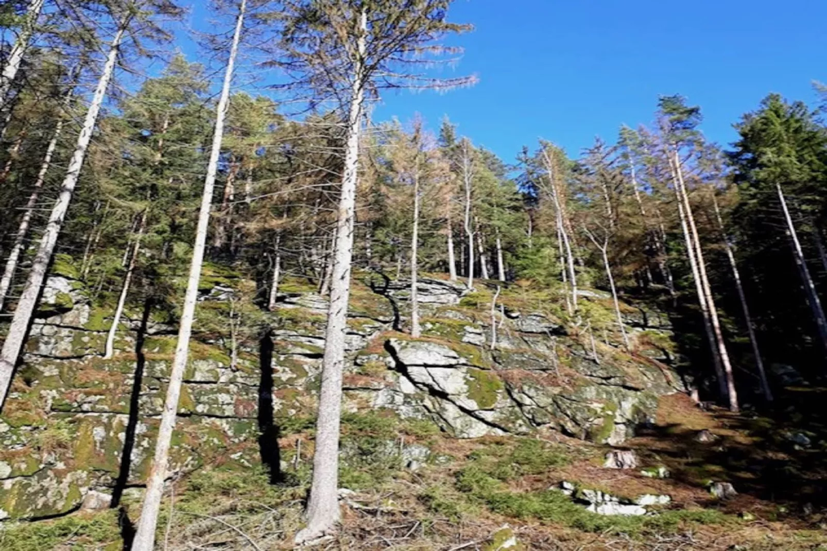 Ferienwohnung Baerenhöhle-Areas within 5km in summer