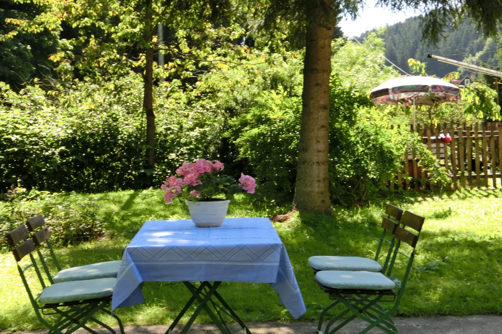 Waldblick-Garten Sommer