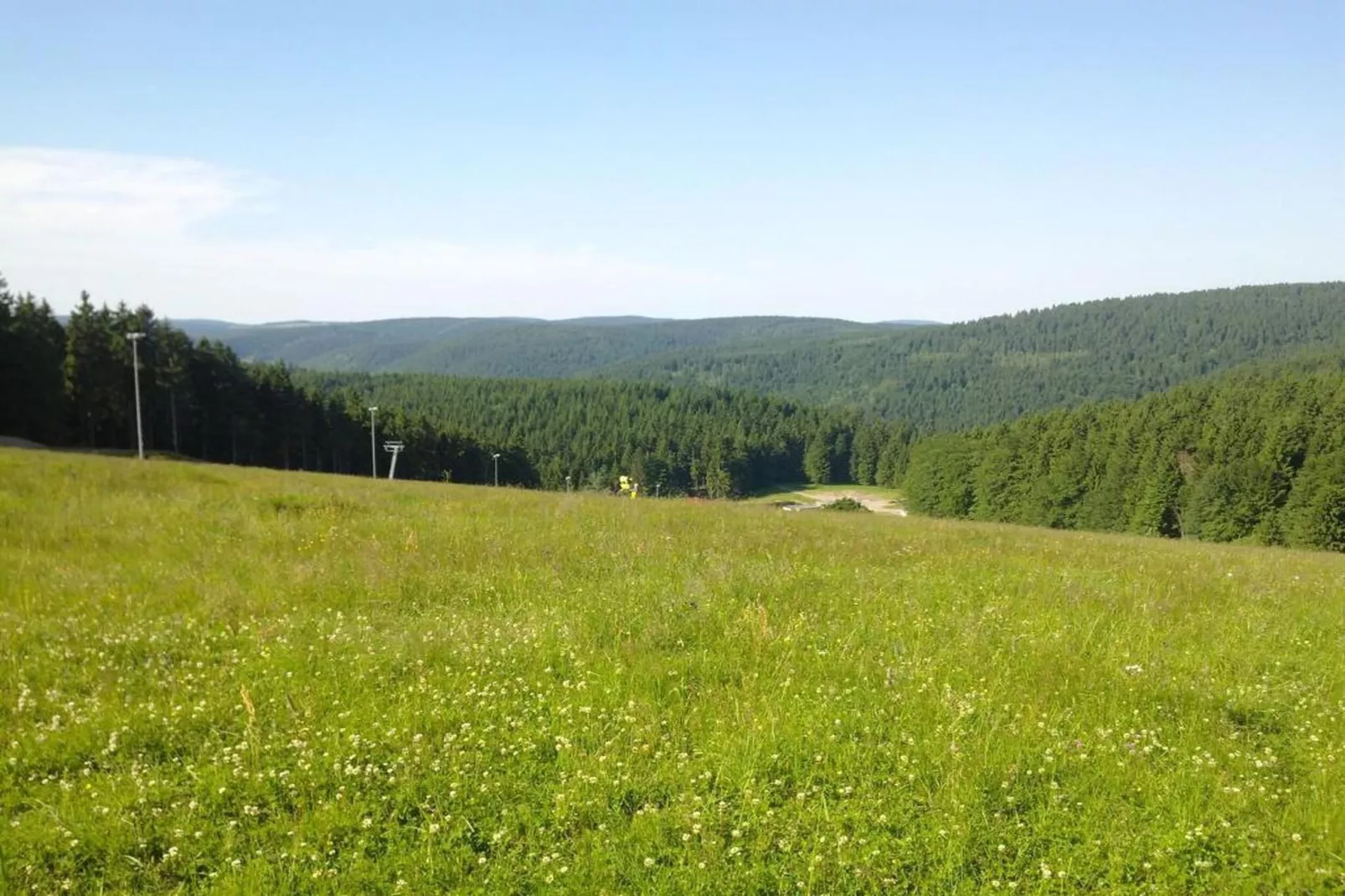 Björn-Gebiete Sommer 20 km
