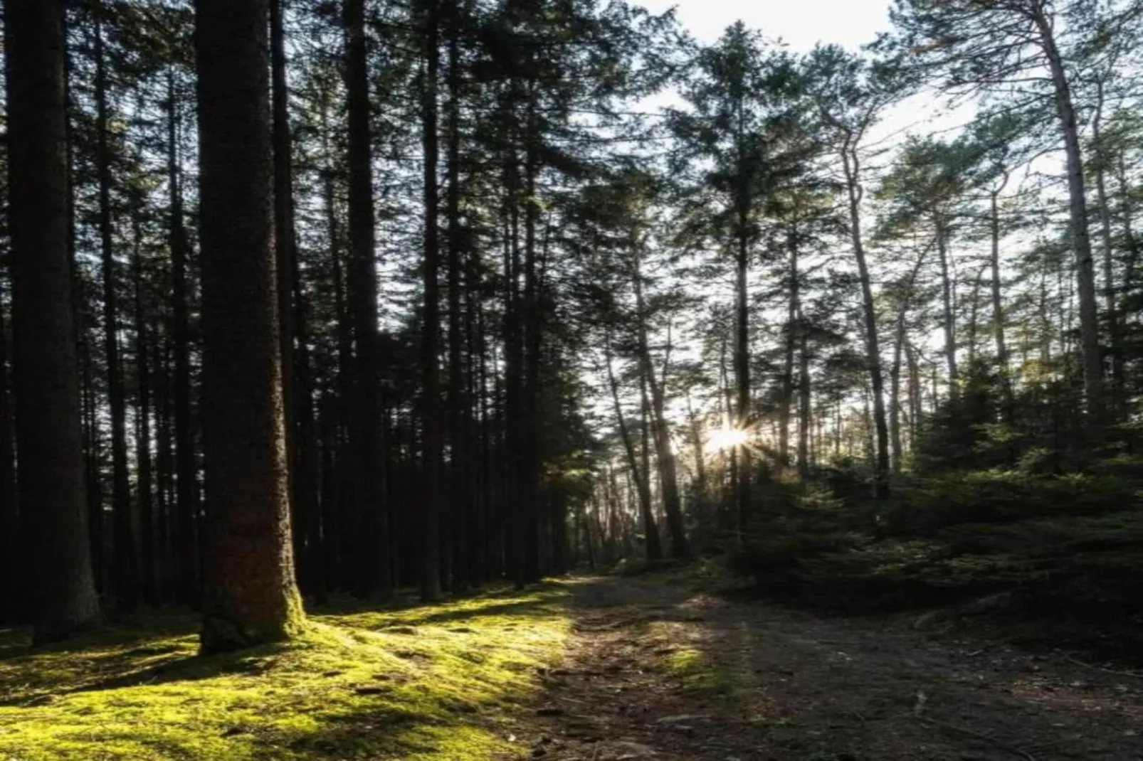 Serene Stay with Garden-Areas within 5km in summer