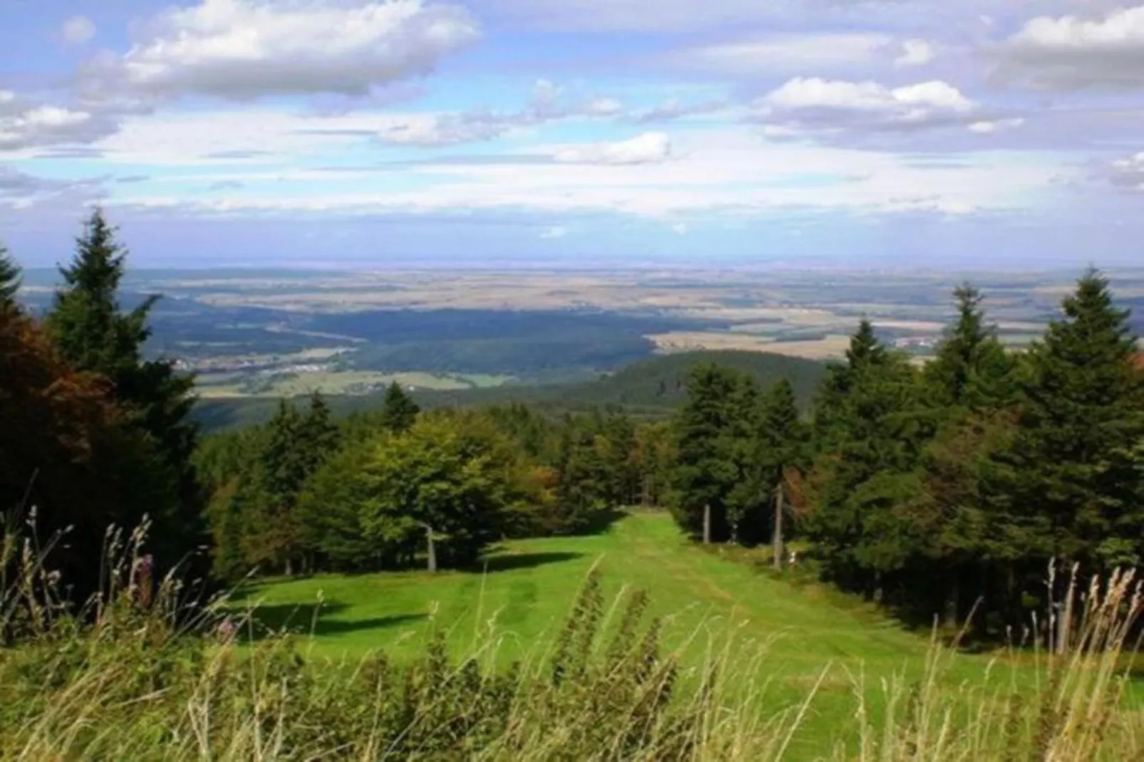 Ferienwohnung Apelt-Areas within 5km in summer