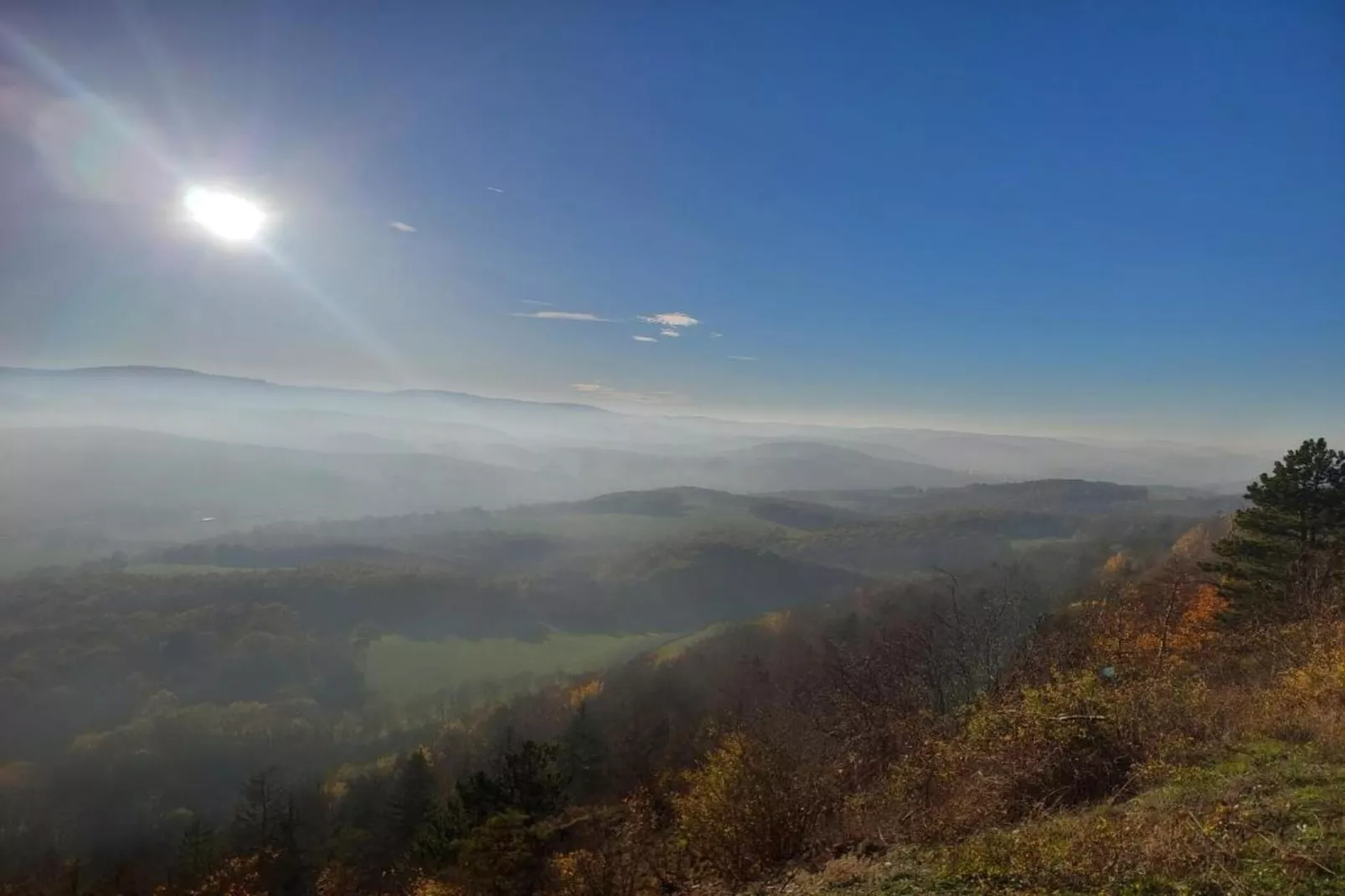 Mosbach-Areas within 5km in summer