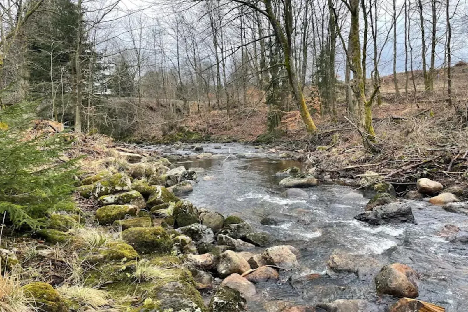 FH PremiumLodge Plus-4Erw und 2 Ki 4-11-Areas within 5km in summer