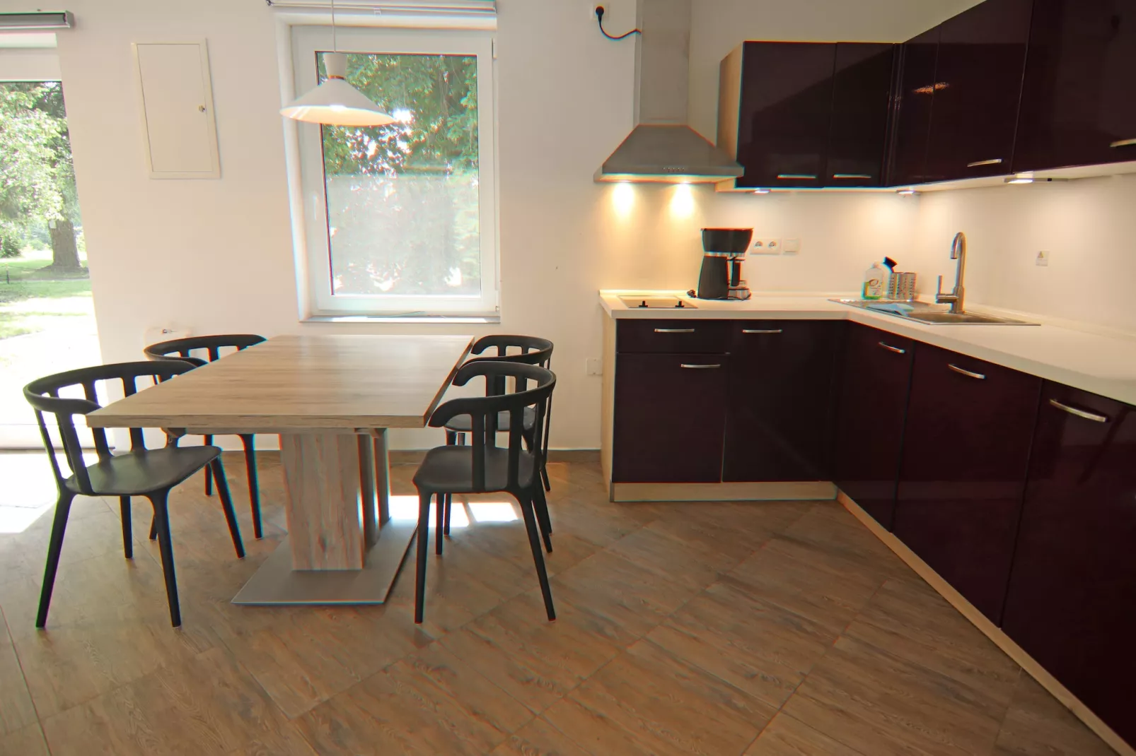 Doppelhaus Seestern-Kitchen
