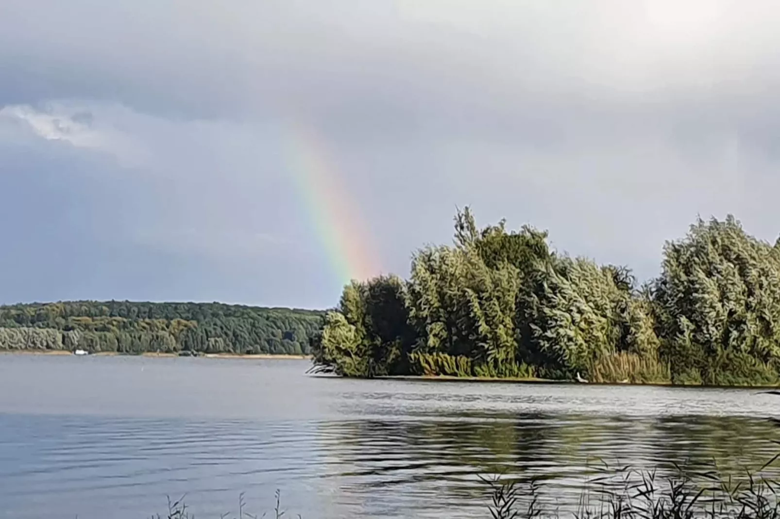 Kiebitz 100 qm-Gebiete Sommer 1 km