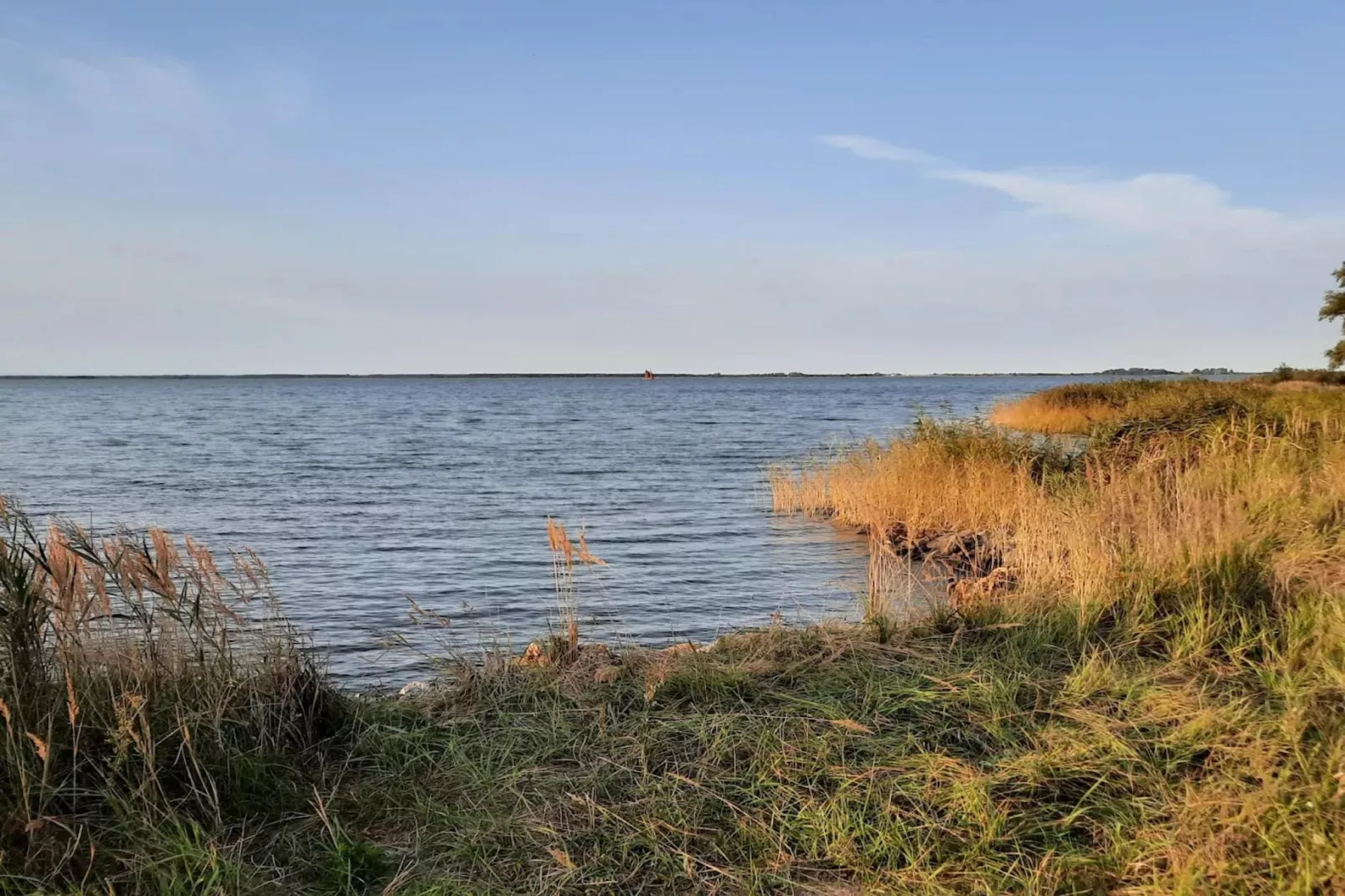 Seeschwalbe 35-Areas within 1km in summer