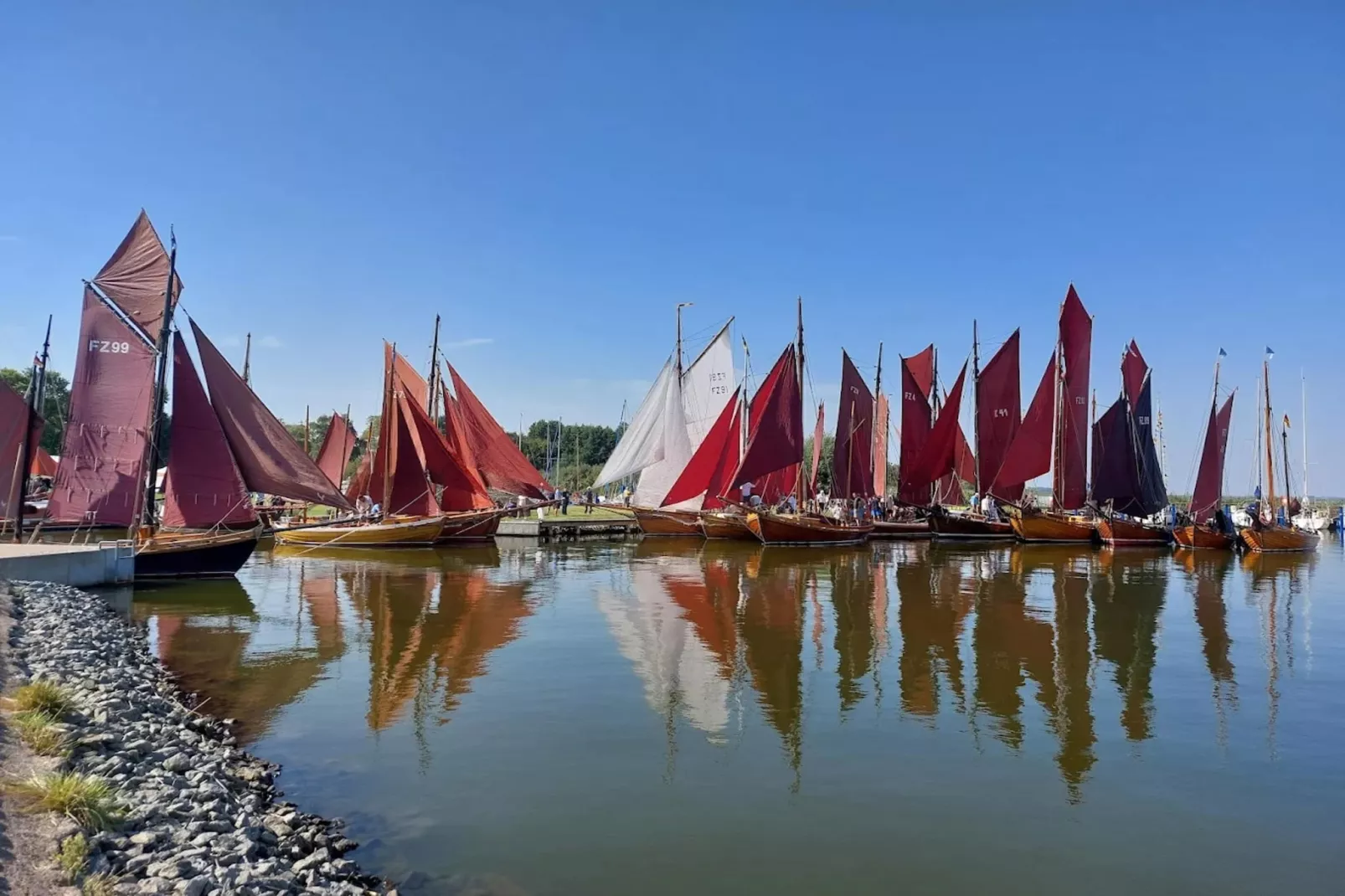 Seeschwalbe 44-Gebiete Sommer 1 km