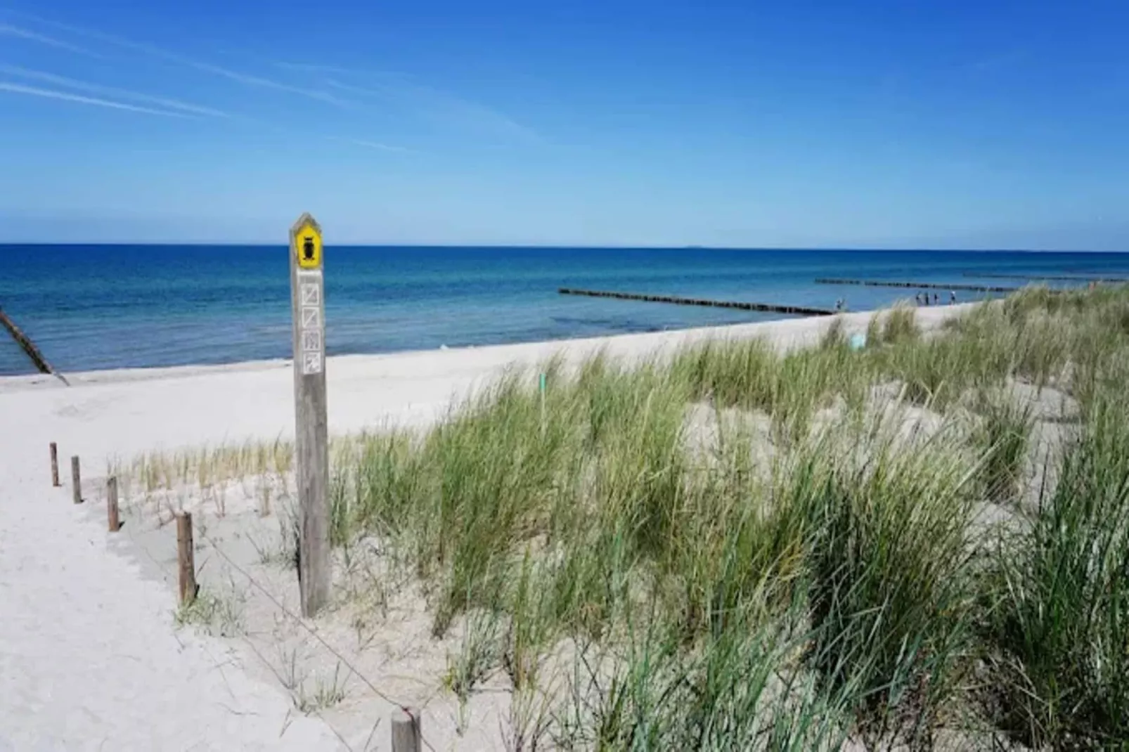 Ferienwohnung Zingst-Buhnen 24-Areas within 1km in summer