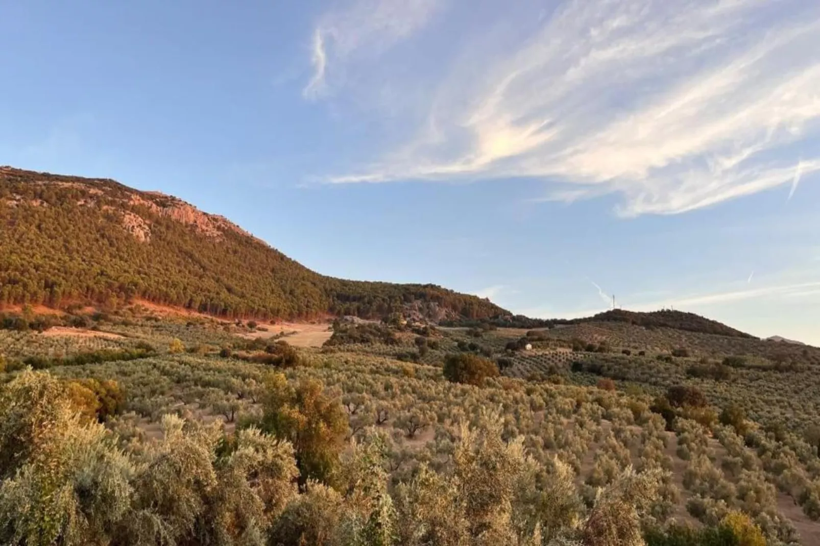 Cortijo Los Alazores-Areas within 5km in summer