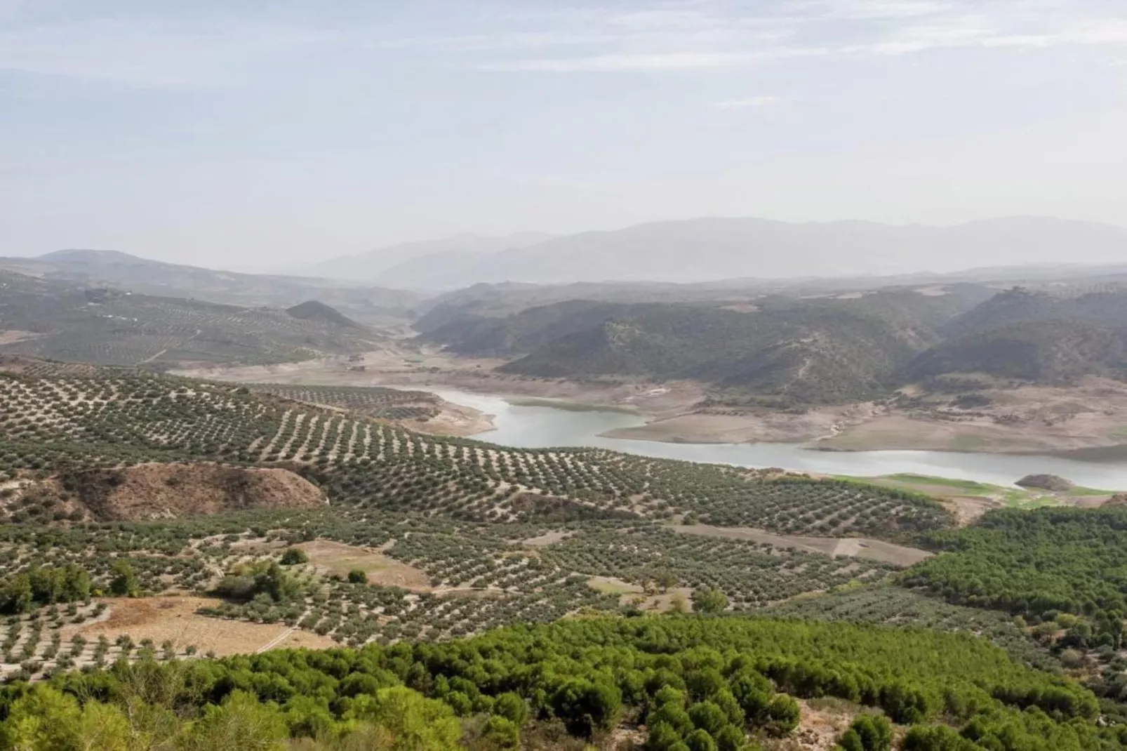 El Molino-Areas within 20km in summer