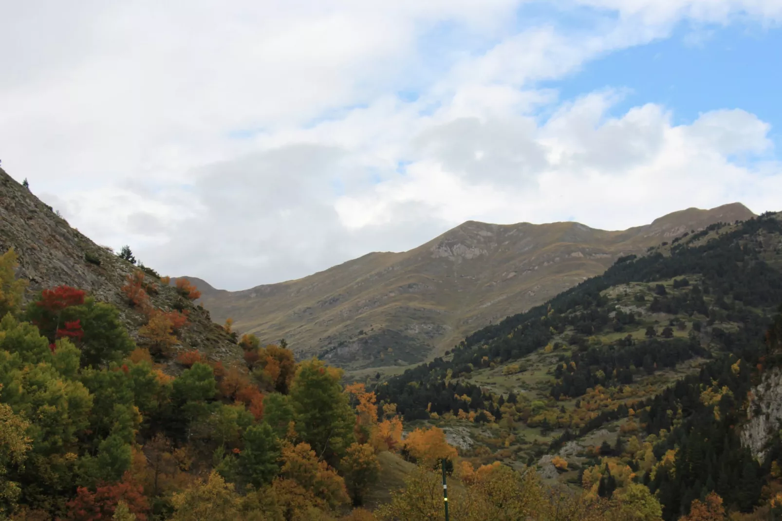 Cobert d'en Piarró-Gebiete Sommer 5 km