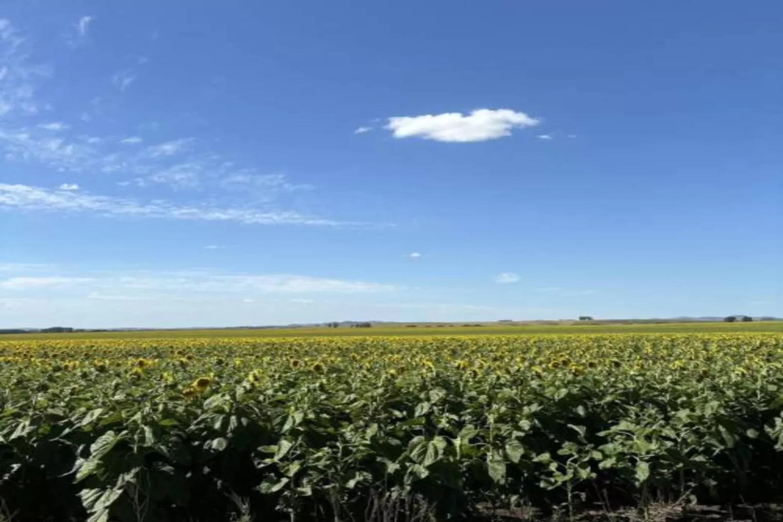 Casa Candela-Areas within 20km in summer