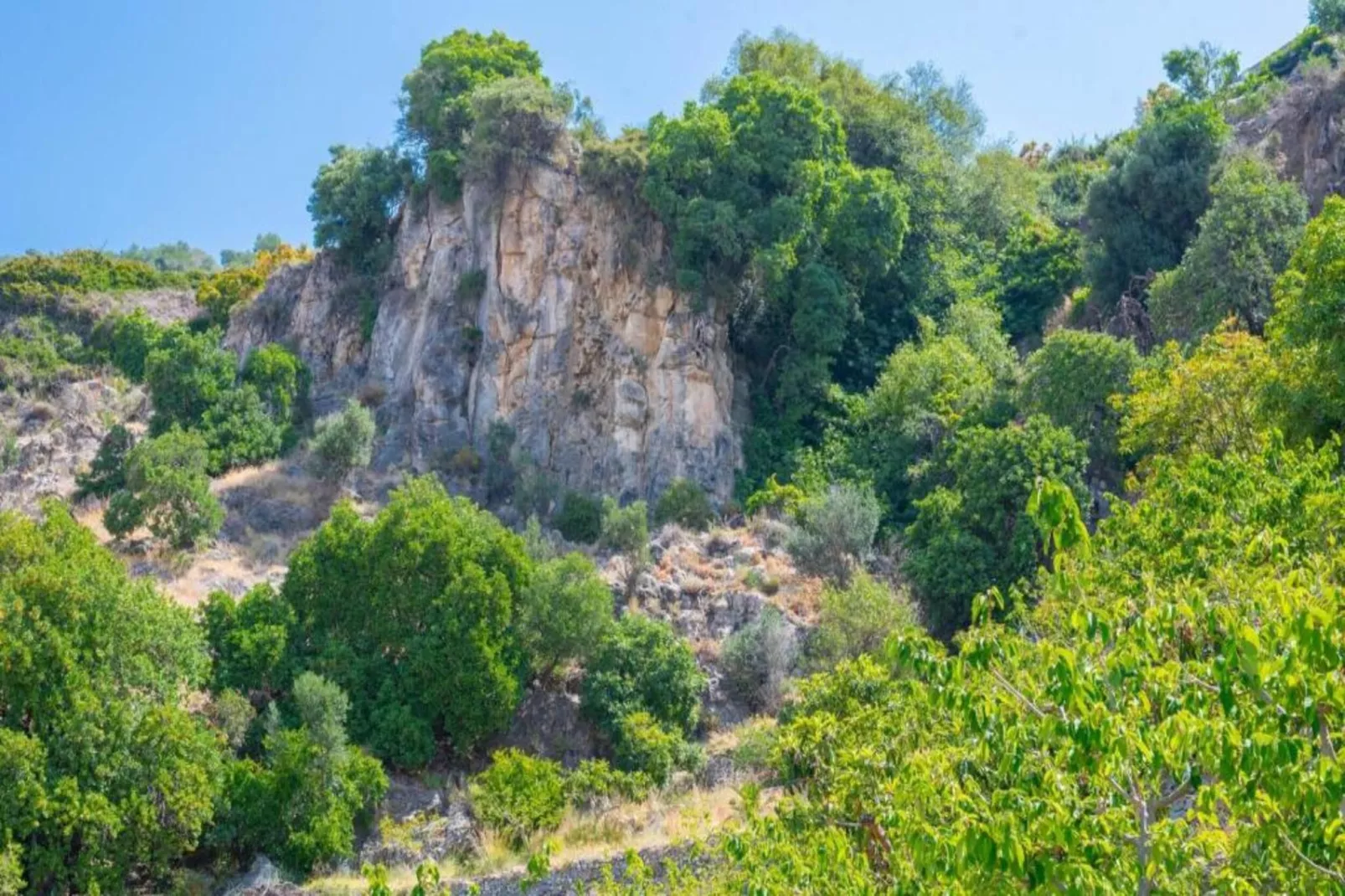 Cortijo Albaricoque-Areas within 20km in summer