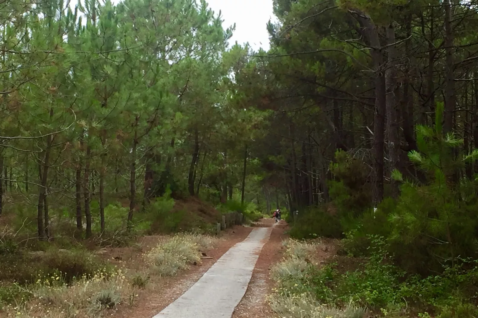 Clos les Pins-Gebiete Sommer 1 km