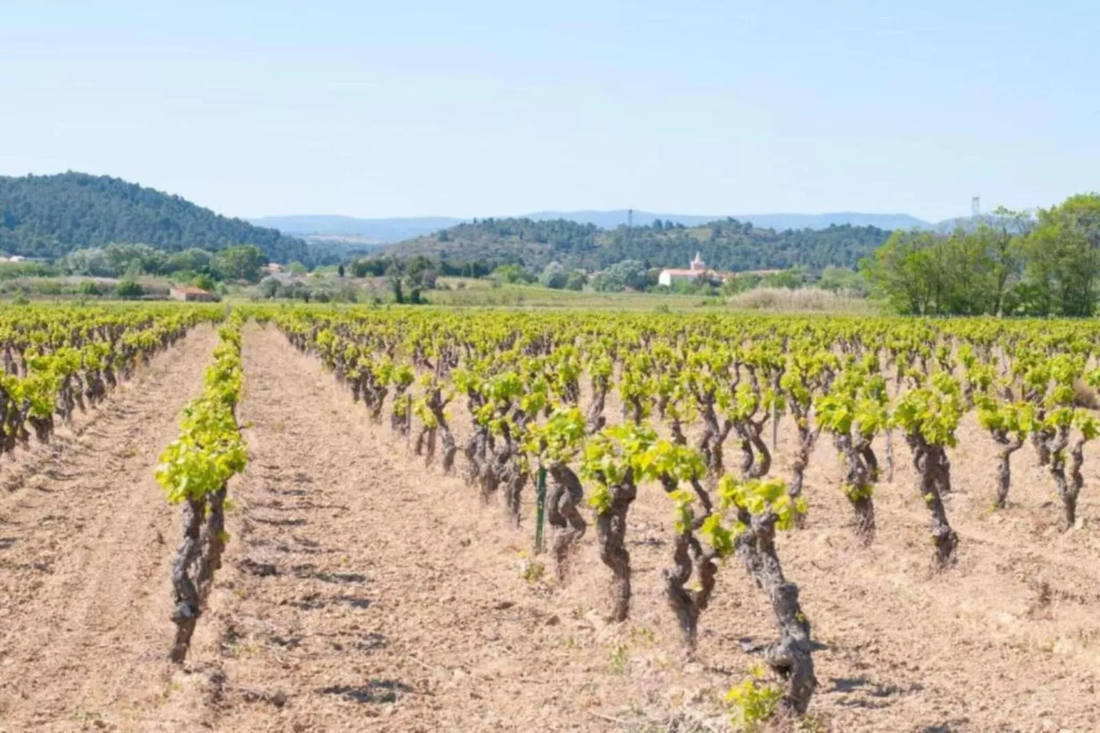 Aux Arbres Verts-Areas within 5km in summer