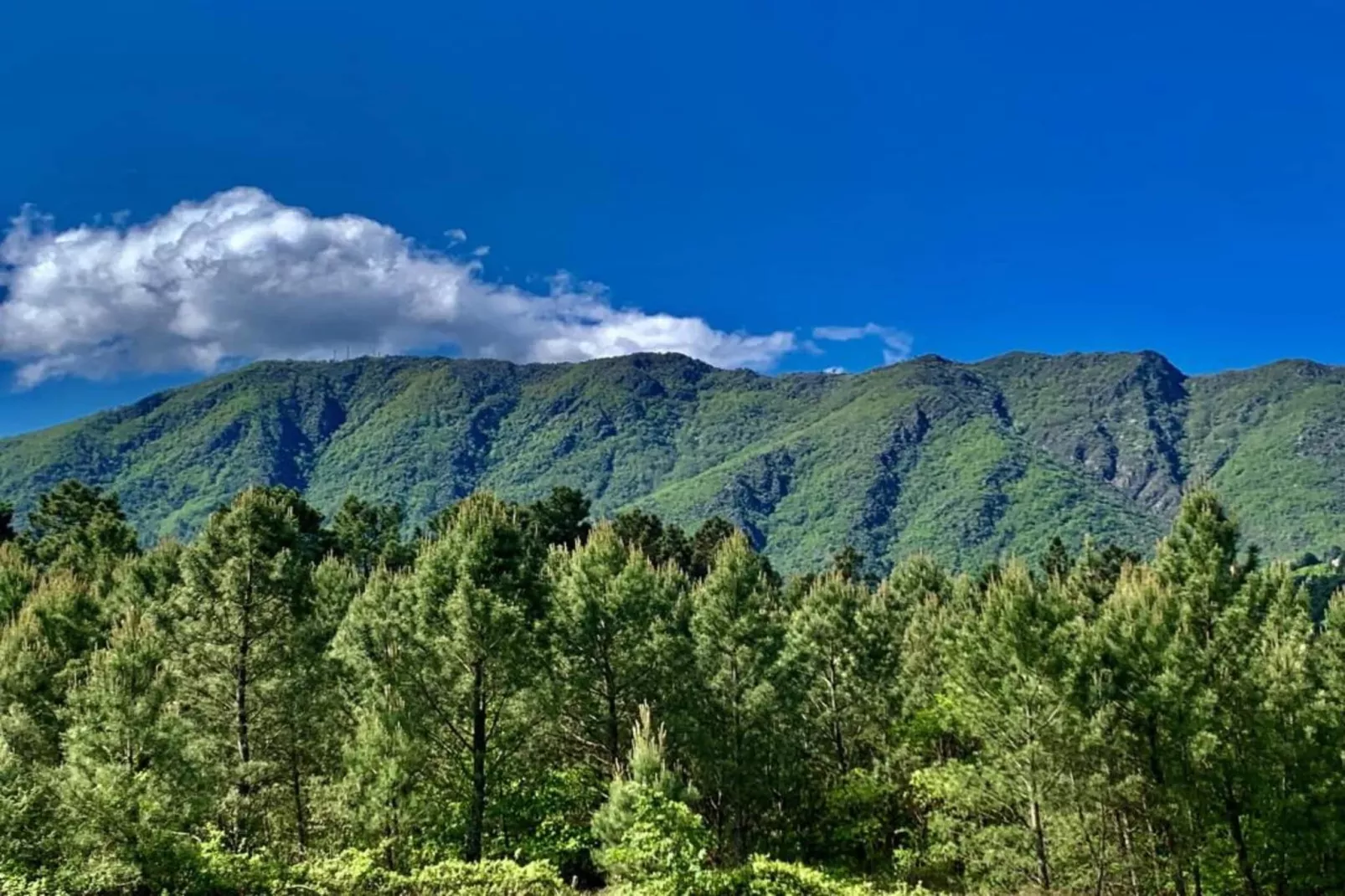 Les Hortensias-Areas within 20km in summer