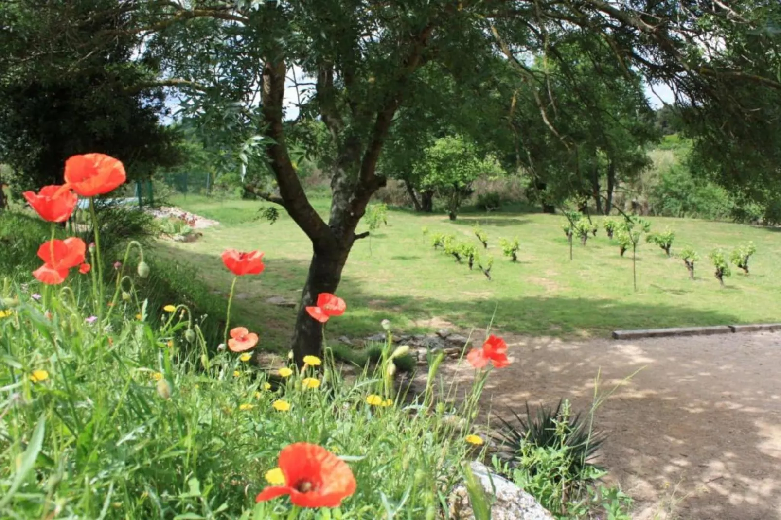 Villa Sainte Valière Bob et Bobette-Areas within 20km in summer