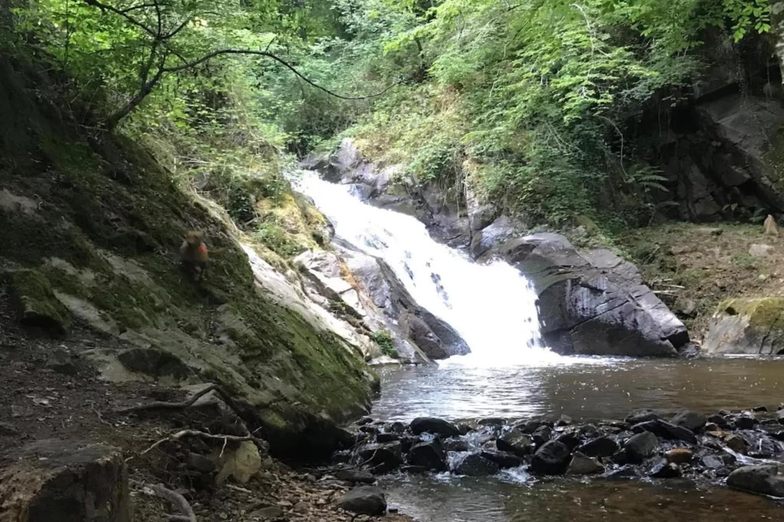 Malemort-Areas within 20km in summer