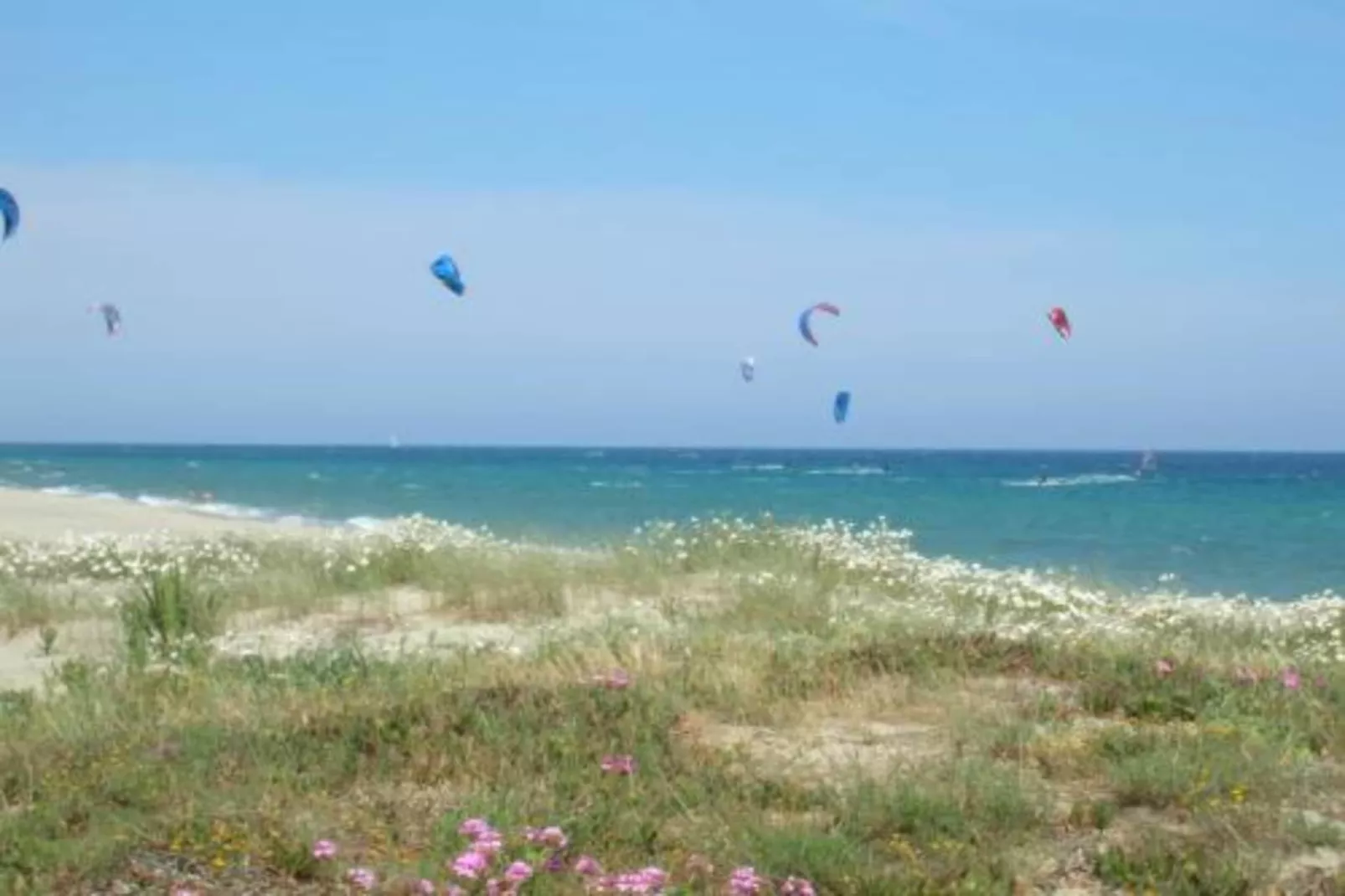 Résidence le Maquis Plage Type 3-Areas within 1km in summer
