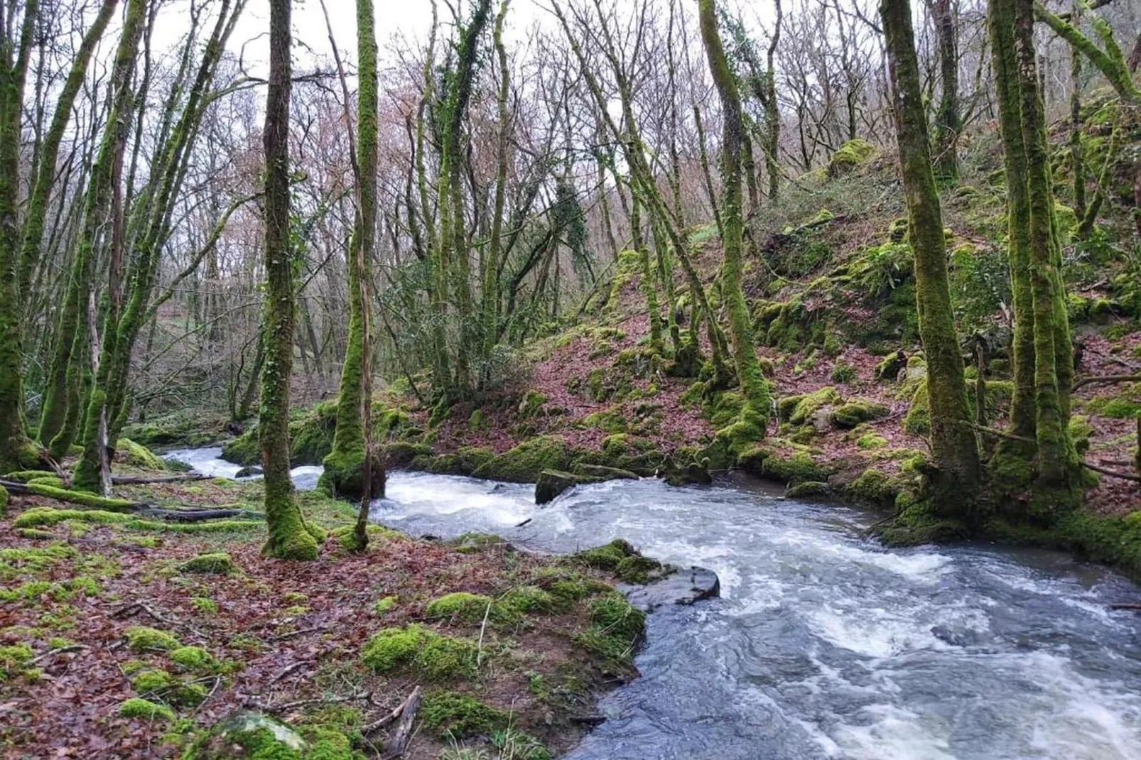 Le Haut Chambon-Zones été à 20 km