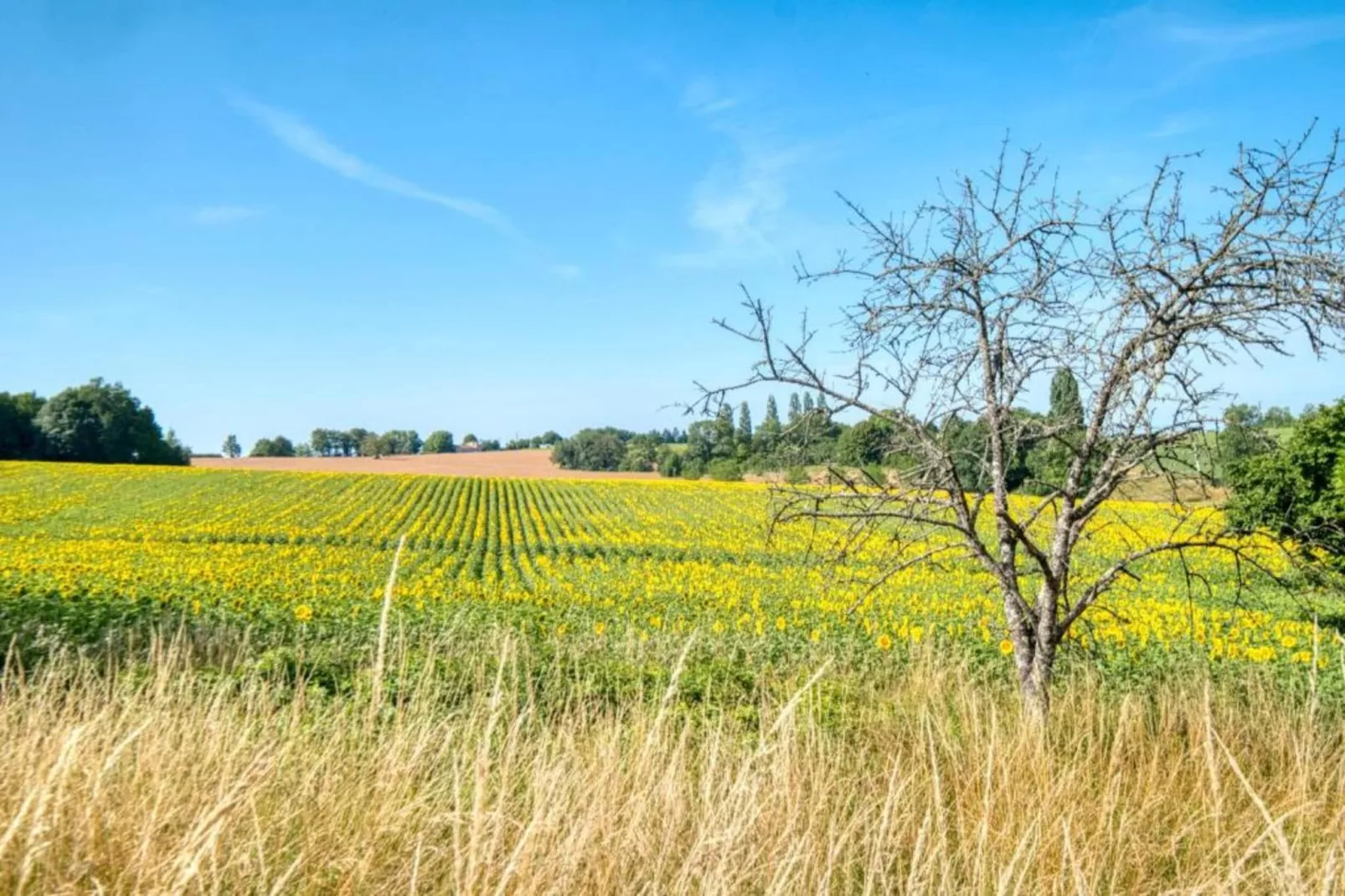 Maison de vacances Lusignac gastverblijf-Zones été à 5 km