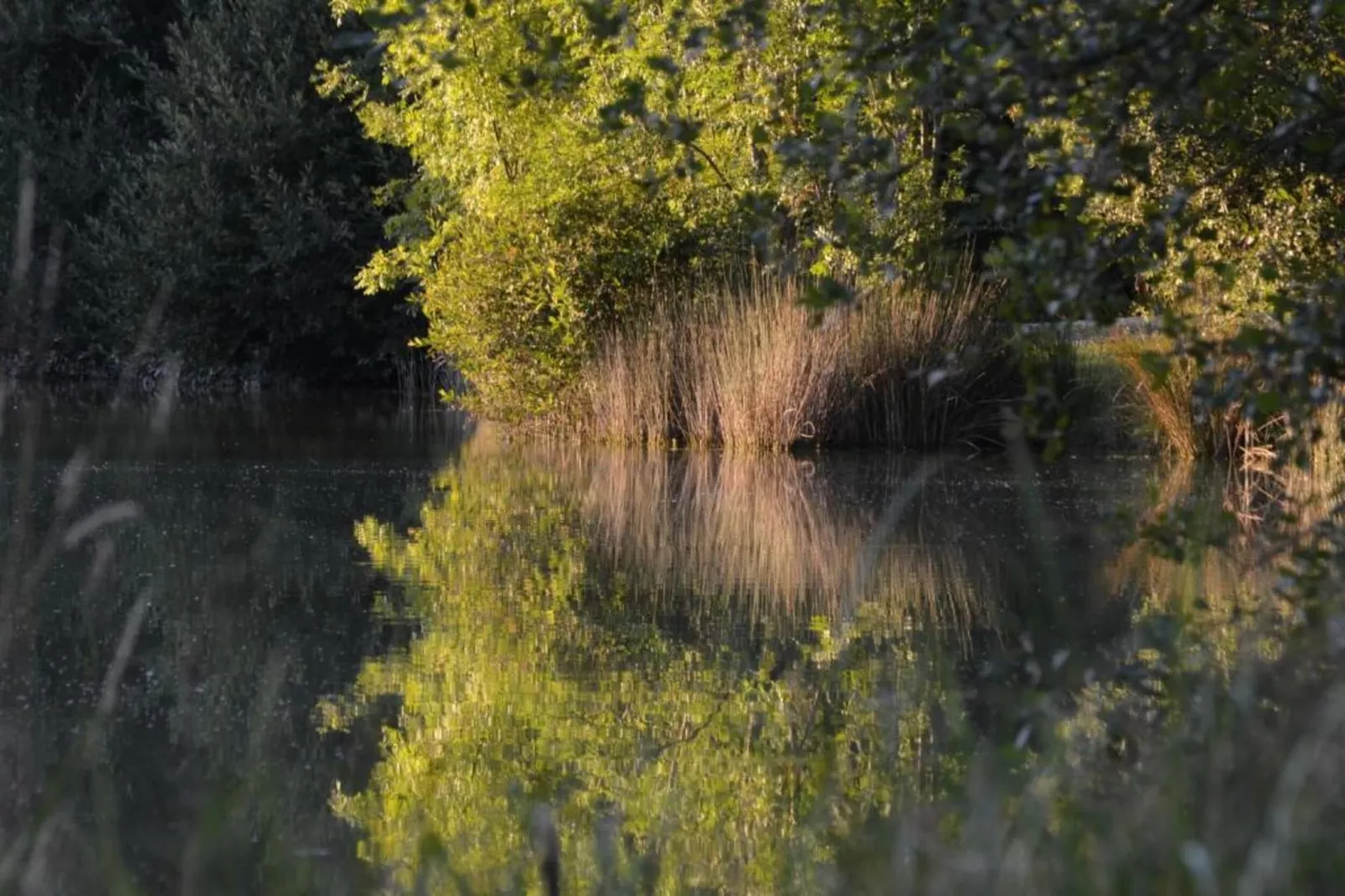 Le petit Nichoir-Areas within 20km in summer