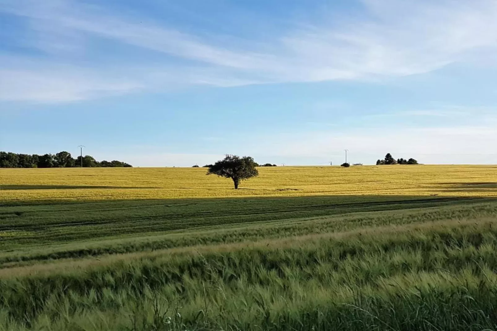 Gîte du Château-Areas within 5km in summer