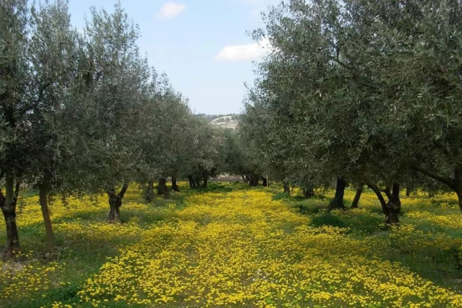 Villa Enniroc-Areas within 20km in summer
