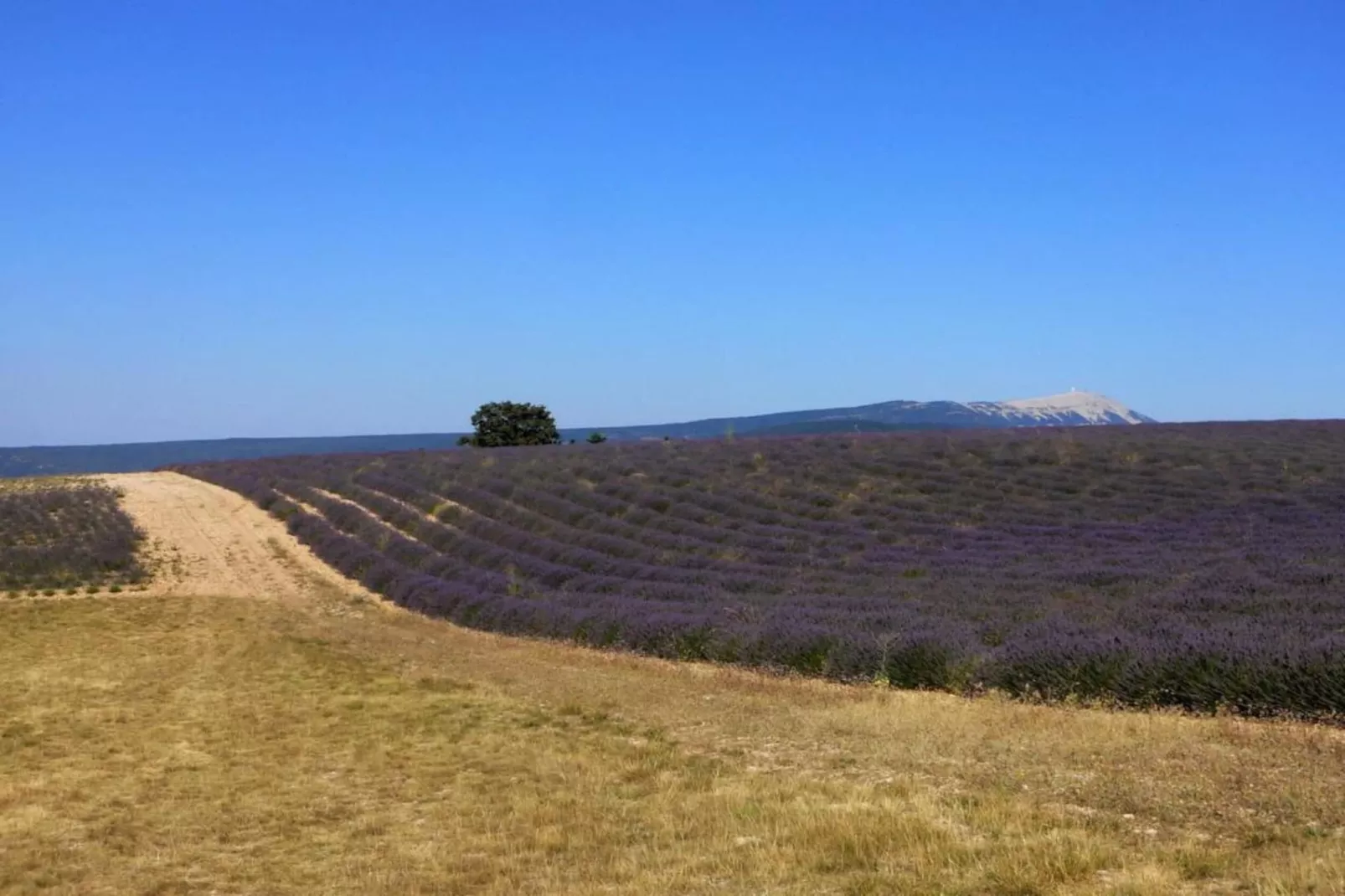 Maison de vacances - LUS-LA CROIX-HAUTE-Areas within 20km in summer