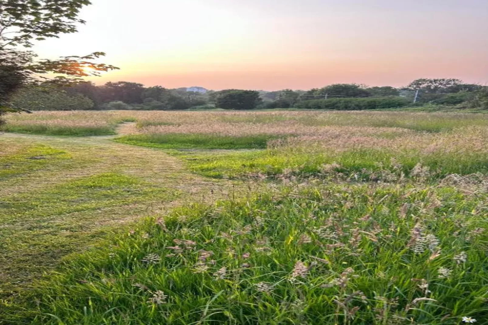 Le Manoir de Coatanscour-Areas within 20km in summer