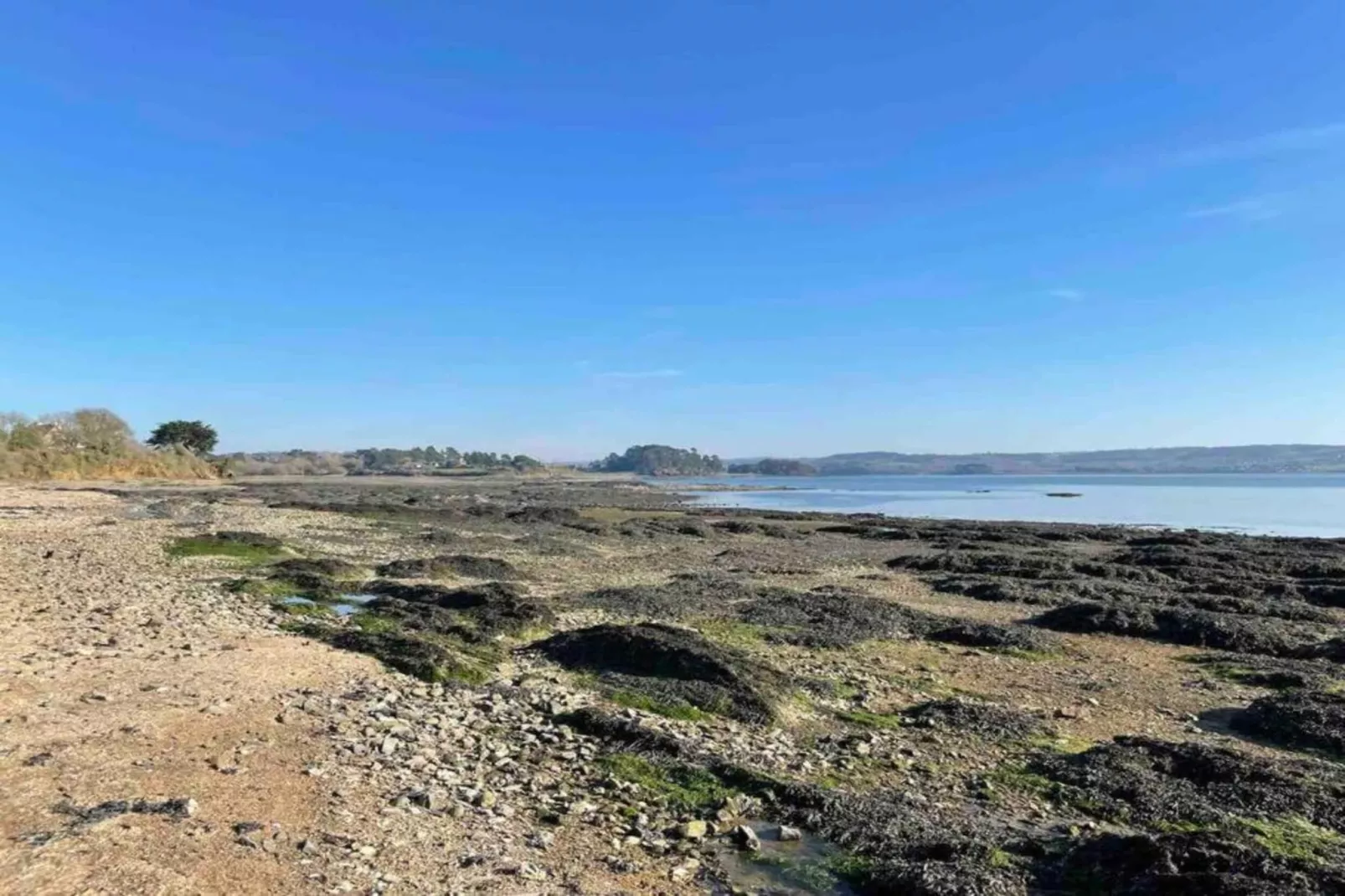 La Plage-Areas within 1km in summer