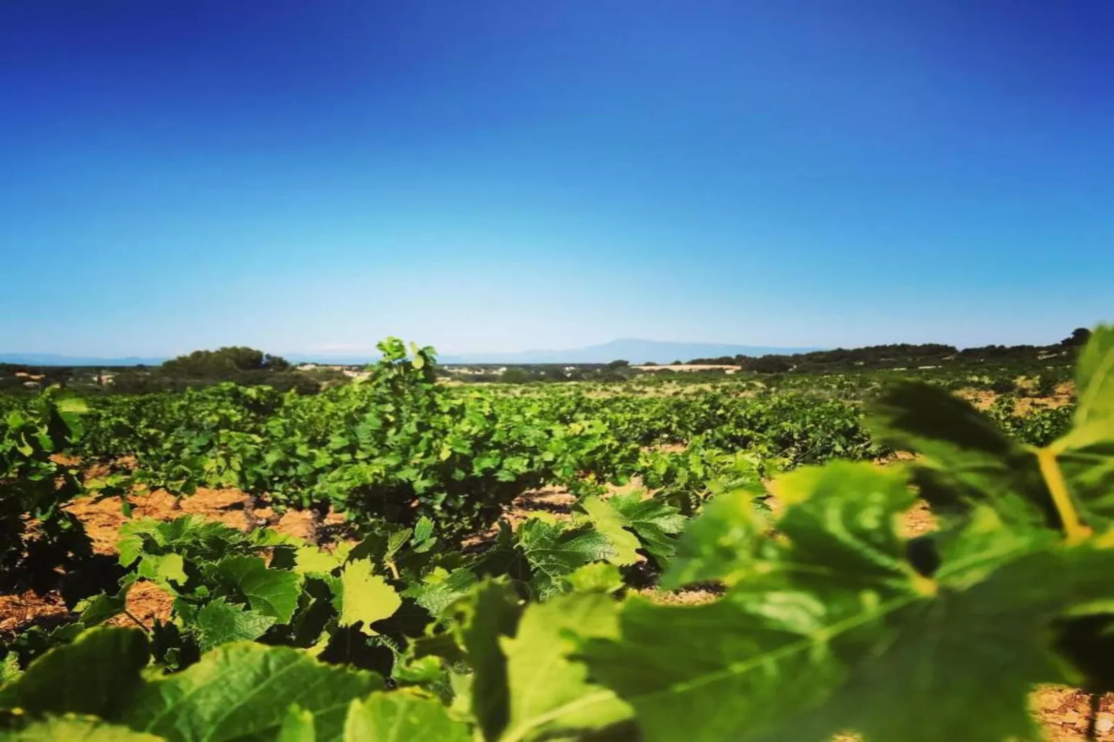 Villa Ollie-Gebiete Sommer 20 km