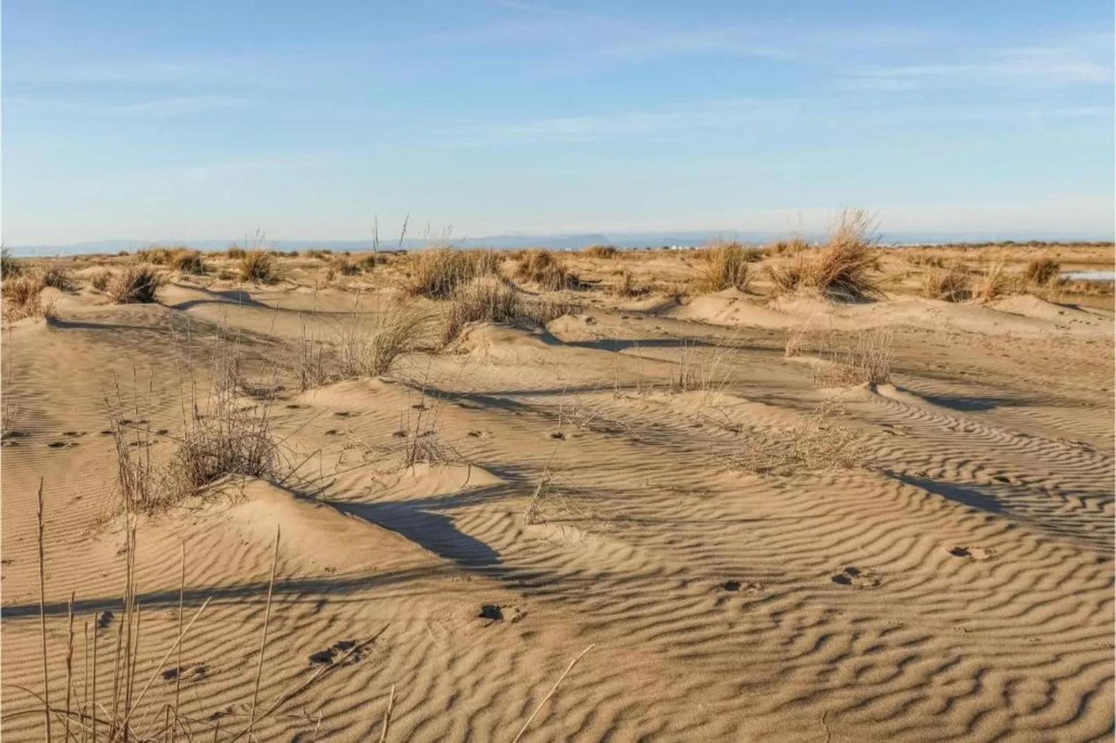 Fleur de Sel - Aigues Mortes 1-Areas within 5km in summer