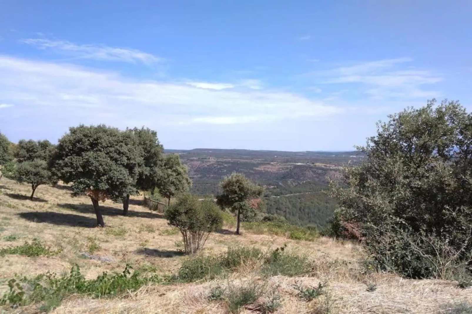 Cristal de Roche-Areas within 20km in summer