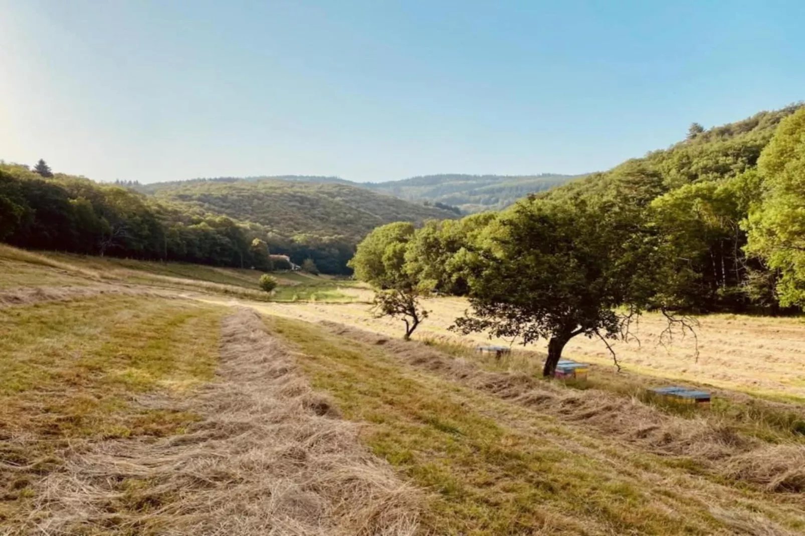 Domaine Courniou-Zones été à 5 km