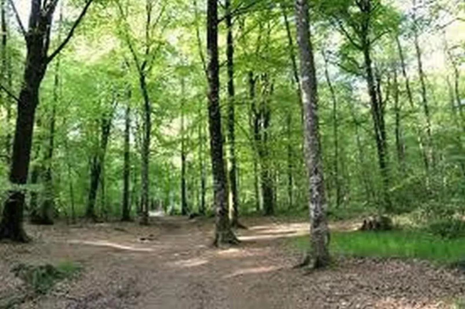 Résidence Le Domaine de l'Emeraude 3-Gebiete Sommer 20 km