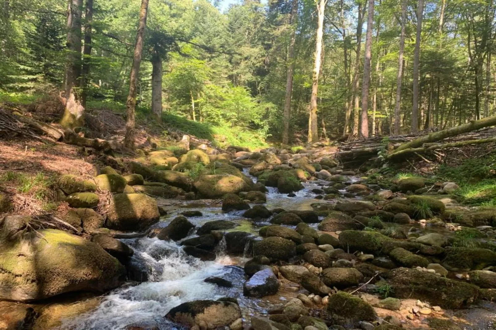 Gite -   SAUVAIN-Zones été à 5 km