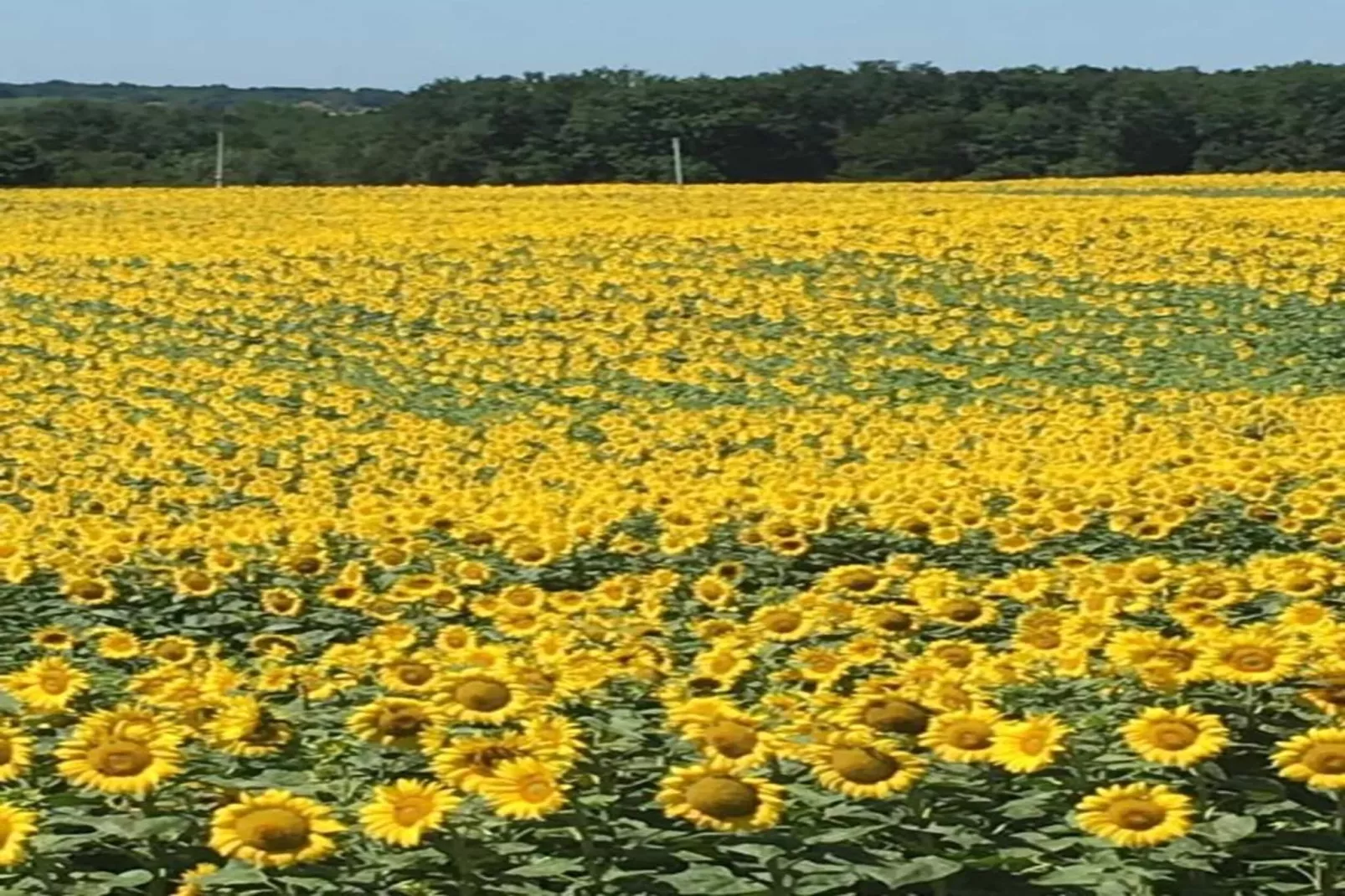 La Coquette-Zones été à 20 km