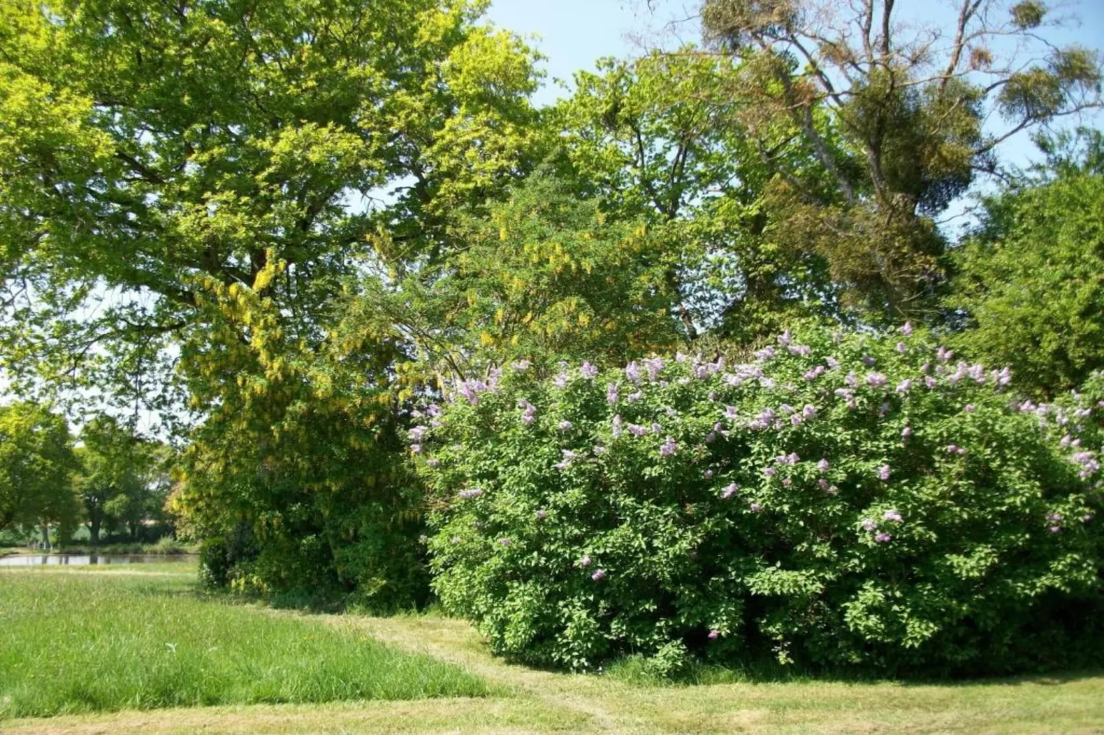 Maison de vacances St Laurent des Mortiers-Gebiete Sommer 20 km