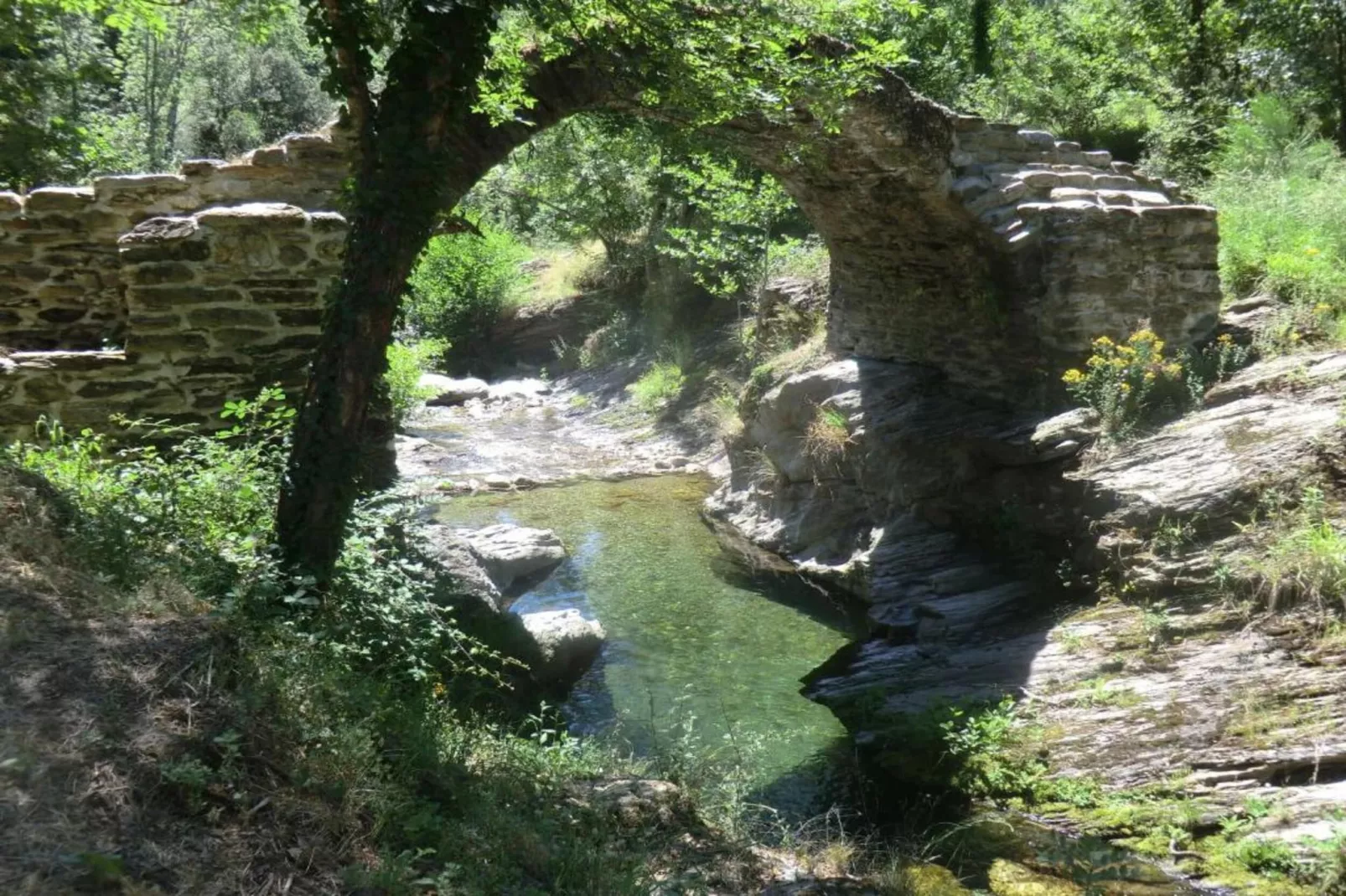 Maison de vacances - SEIGNEULLES-Areas within 5km in summer