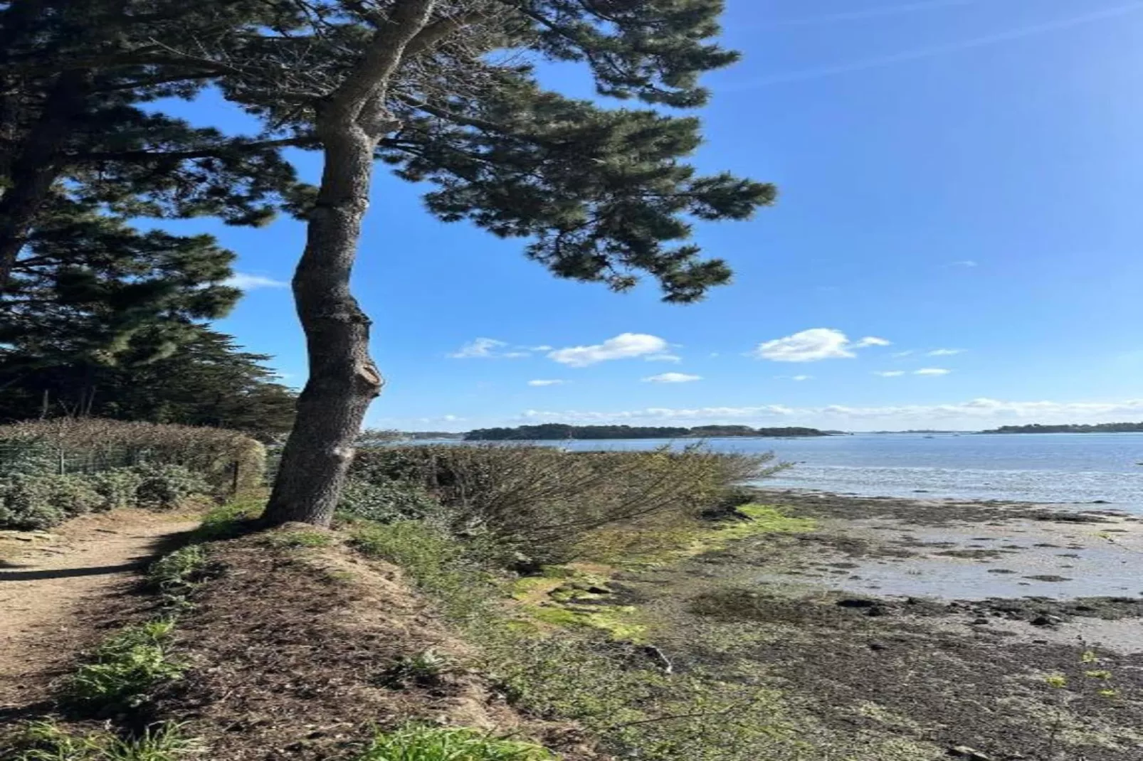 Les Iles du Morbihan 1-Areas within 5km in summer