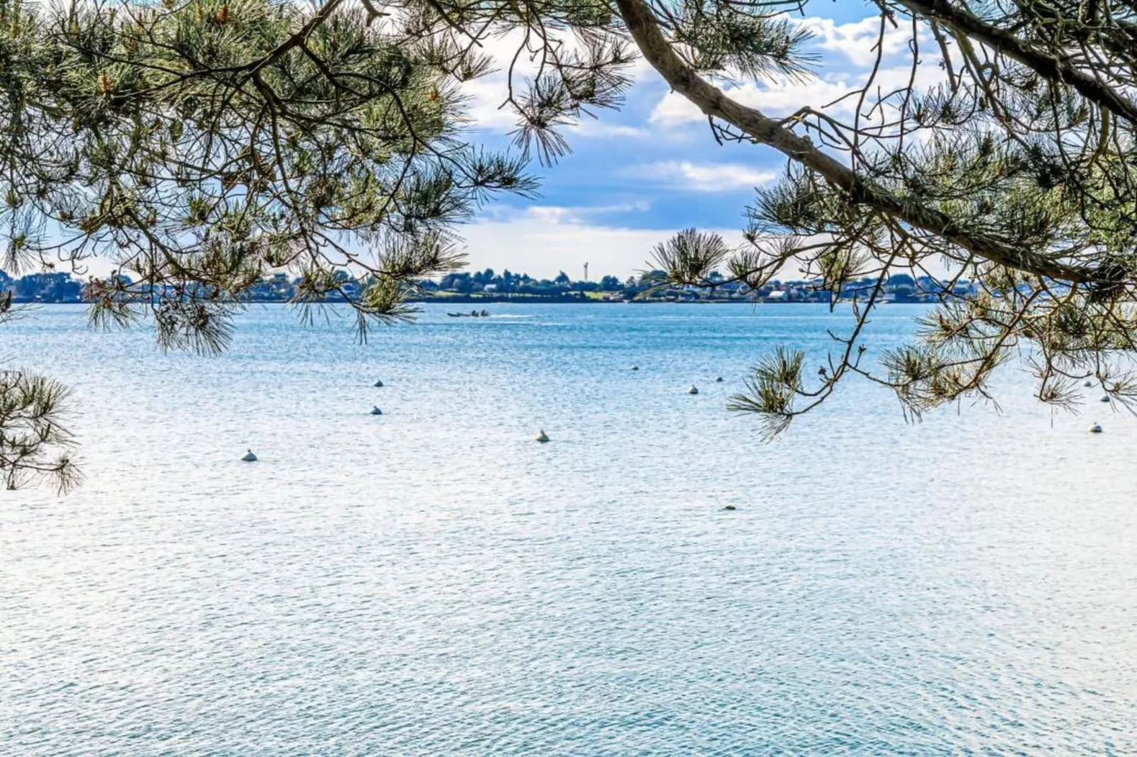 Les Iles du Morbihan 2-Areas within 5km in summer