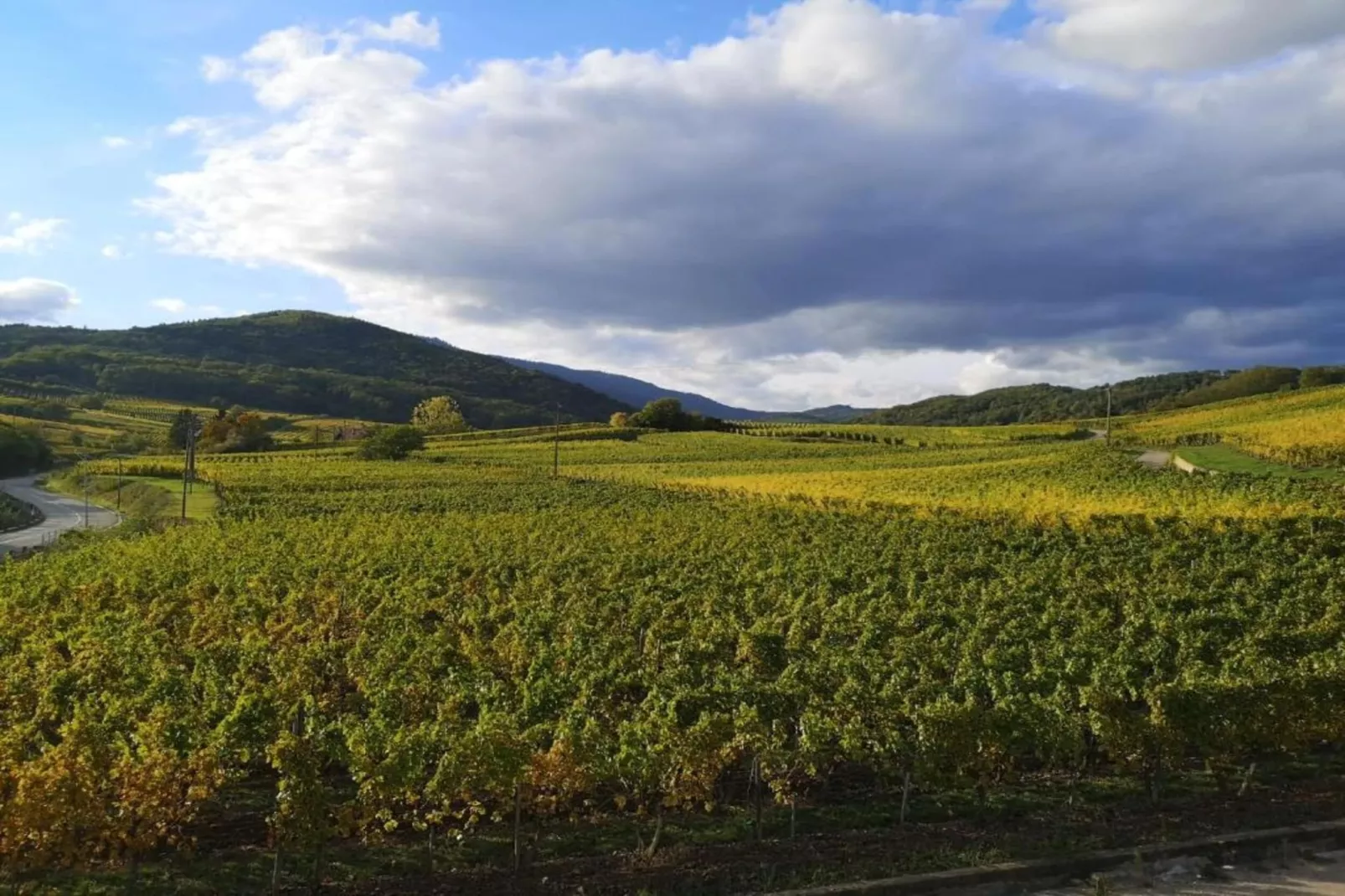 Le Domaine des Rois 3-Areas within 5km in summer
