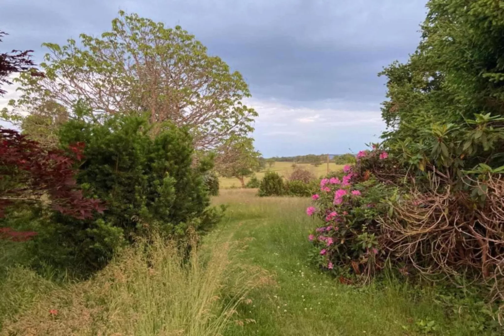 Gite 6 pers Bellevue - Le-Chardonneret-Zones été à 20 km